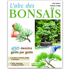 ABC bonsai